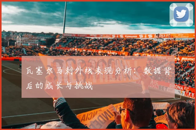 瓦塞尔马刺外线表现分析:数据背后的成长与挑战